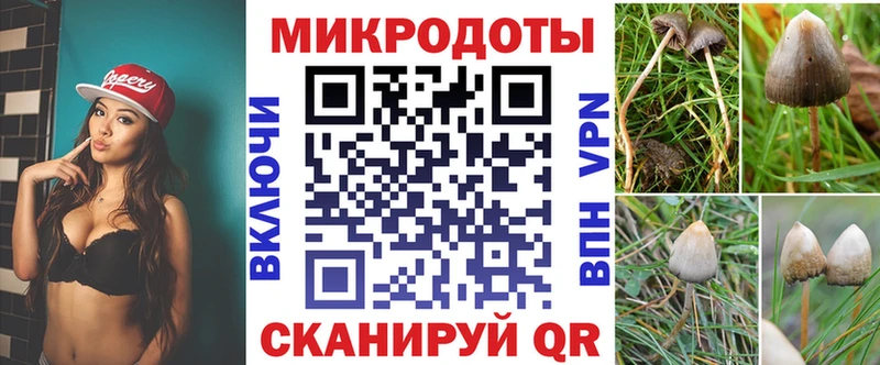 Купить где  Баймак  Галлюциногенные грибы Psilocybine cubensis 